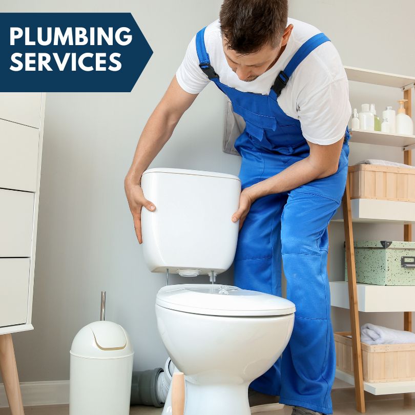 Plumbing Company in Delmar, IA